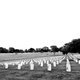 Illustration for article titled 13 Photos Of Memorial Day